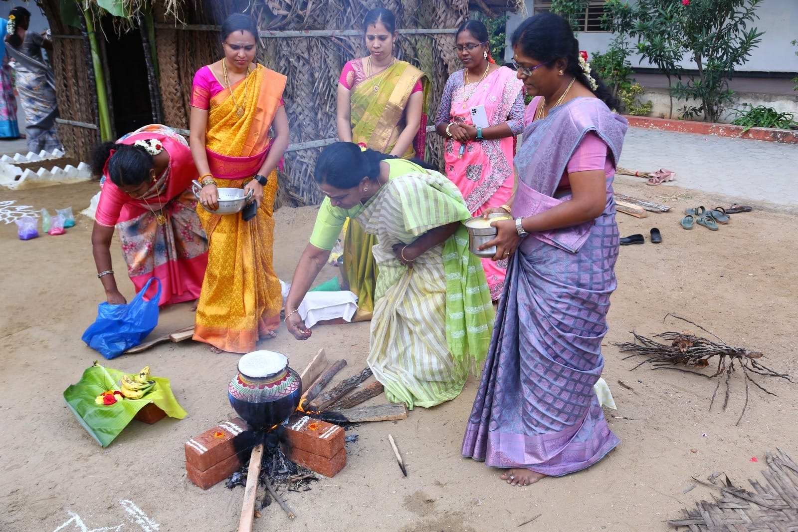 Pongal- a day of festivities in Jaffna - Colombo Times